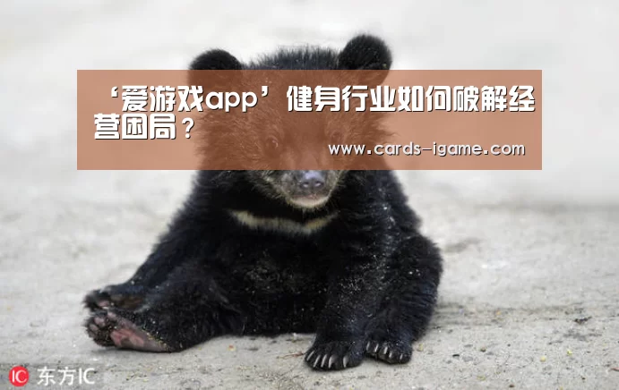 爱游戏直播